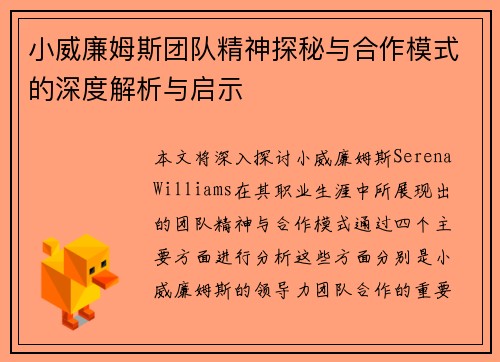 小威廉姆斯团队精神探秘与合作模式的深度解析与启示