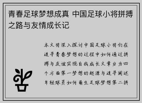 青春足球梦想成真 中国足球小将拼搏之路与友情成长记