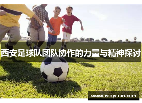 西安足球队团队协作的力量与精神探讨