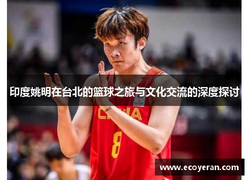 印度姚明在台北的篮球之旅与文化交流的深度探讨