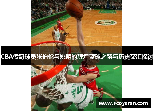 CBA传奇球员张伯伦与姚明的辉煌篮球之路与历史交汇探讨