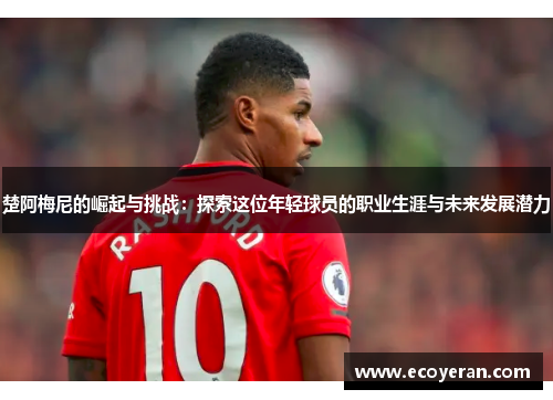楚阿梅尼的崛起与挑战：探索这位年轻球员的职业生涯与未来发展潜力
