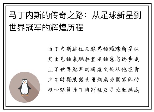马丁内斯的传奇之路：从足球新星到世界冠军的辉煌历程