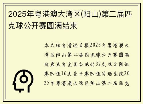 2025年粤港澳大湾区(阳山)第二届匹克球公开赛圆满结束